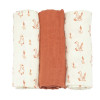 Lot de 3 langes 70x70 cm - Oies