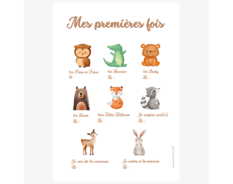 Cadeau naissance bébé prématuré – Affiche Mes Premières Fois